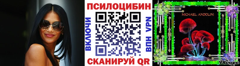 Псилоцибиновые грибы Psilocybe  Купить  Серафимович 